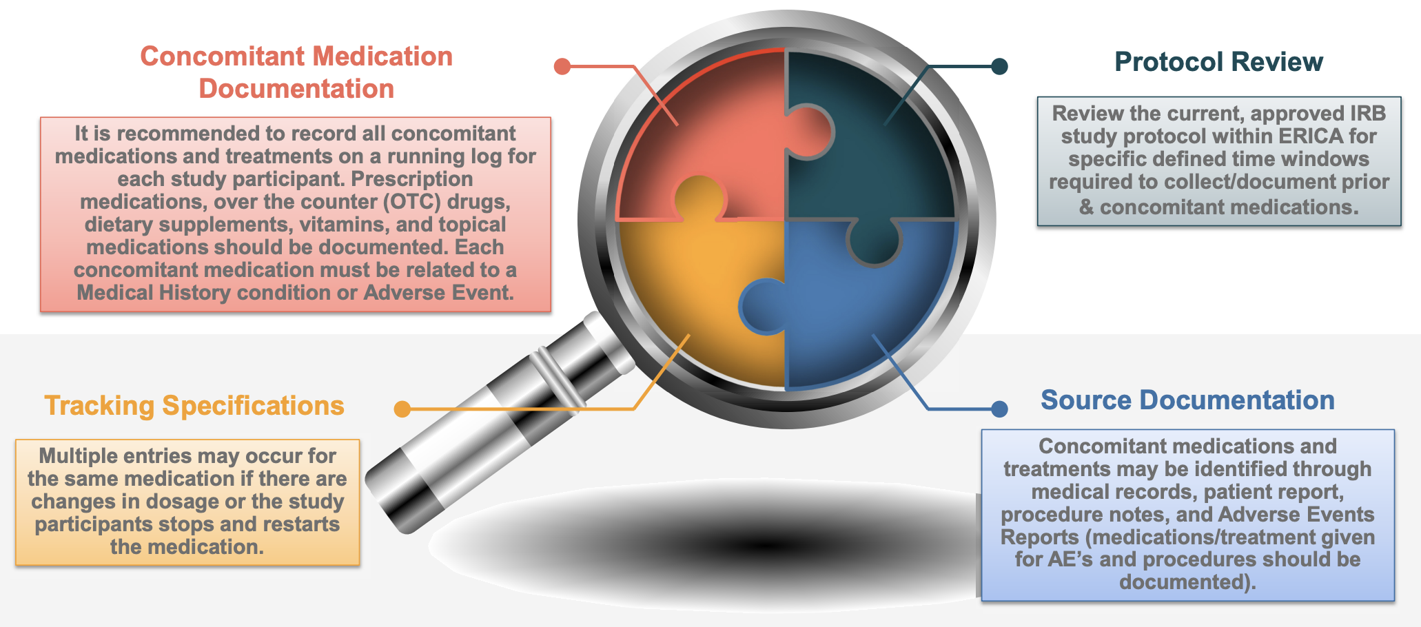 Prior & Concomitant Medication Documentation Process